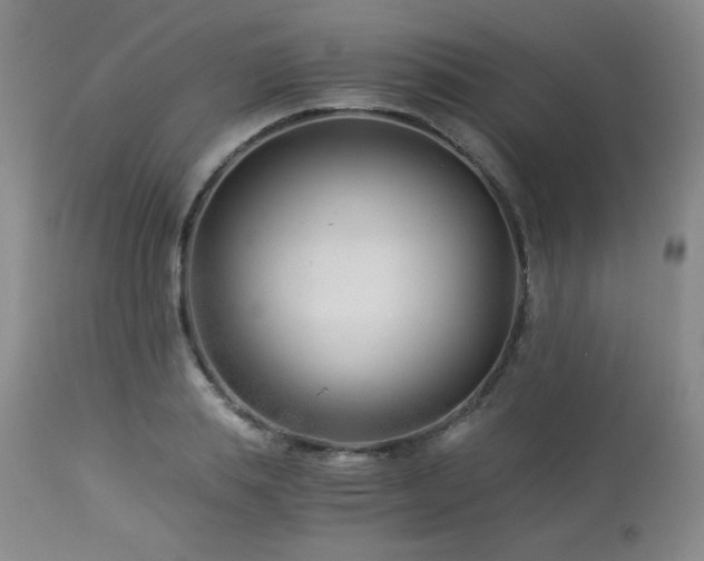 X0000113990839200910021220