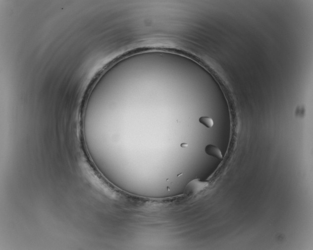 X0000113990840200910021220