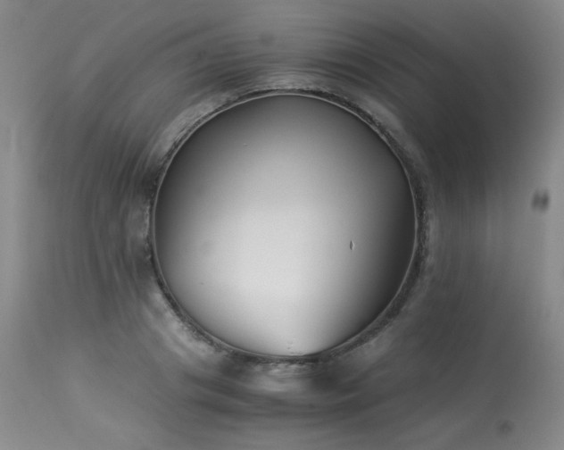 X0000113990841200910021220