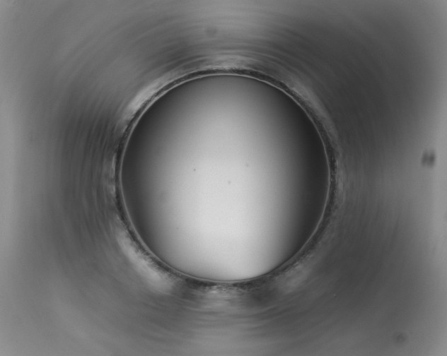 X0000113990842200910021221