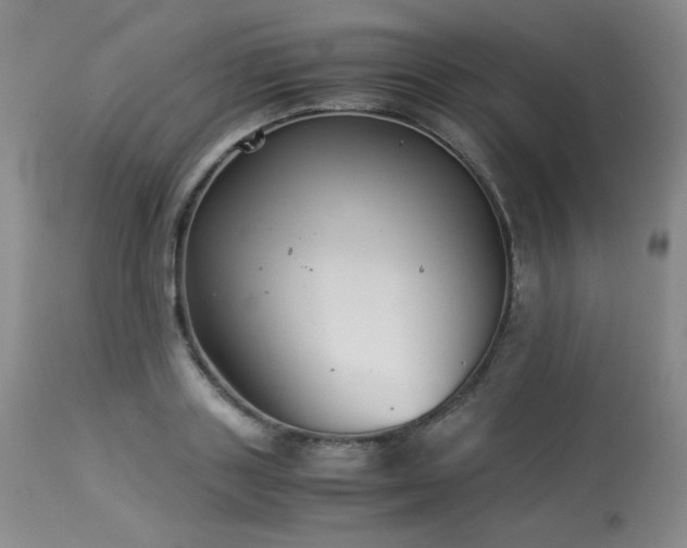 X0000113990843200910021221