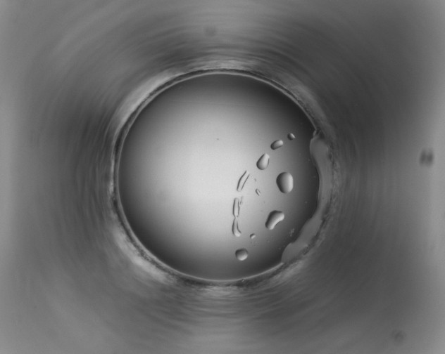 X0000113990844200910021221