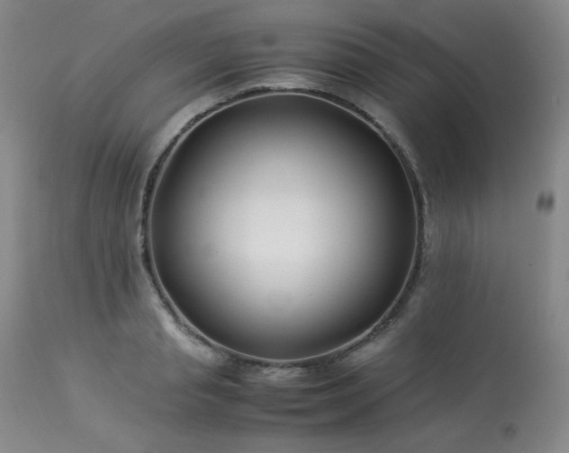 X0000113990845200910021221