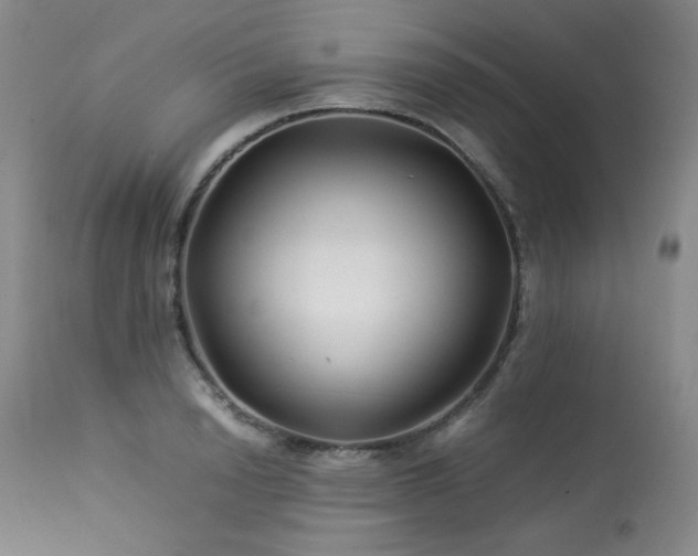 X0000113990846200910021221