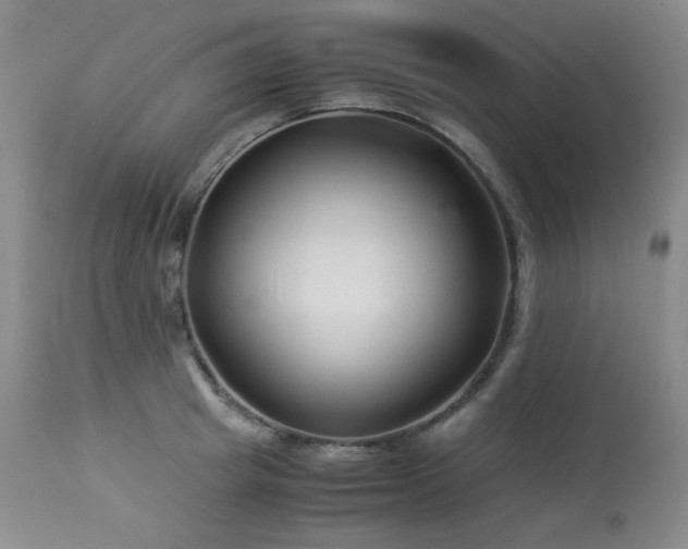 X0000113990849200910021221