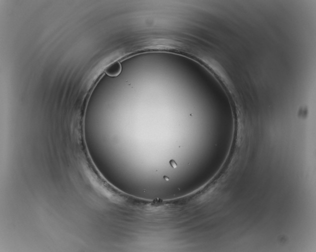 X0000113990850200910021221