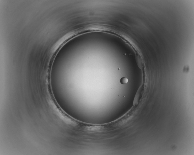 X0000113990853200910021221