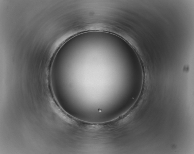 X0000113990854200910021221