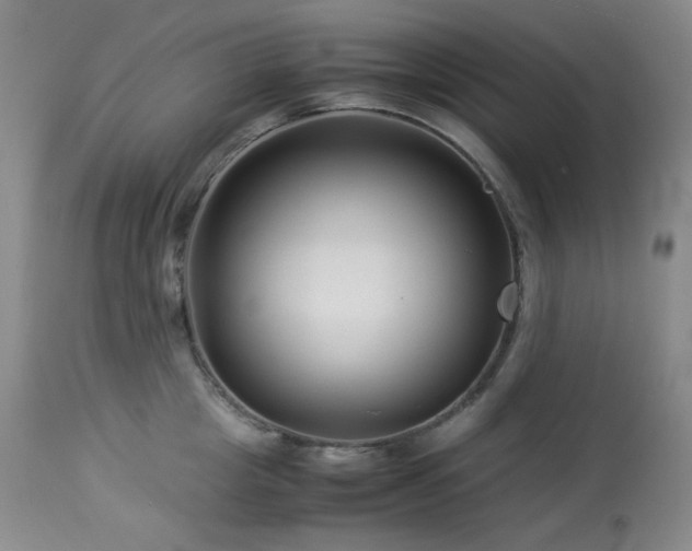 X0000113990857200910021221