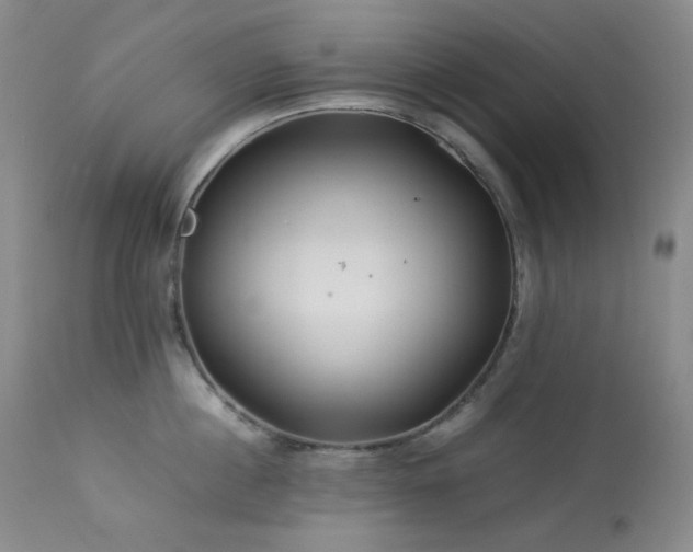 X0000113990860200910021221