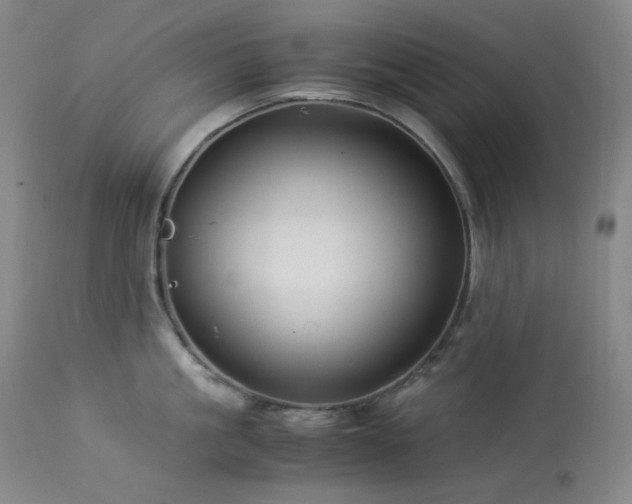 X0000113990861200910021221