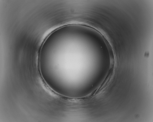 X0000113990862200910021221