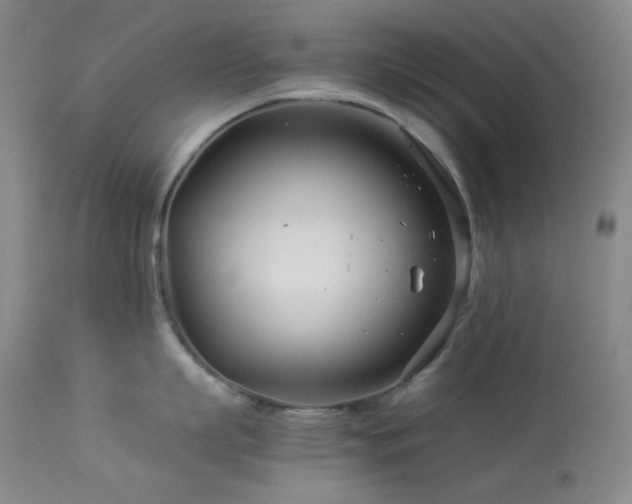 X0000113990863200910021221