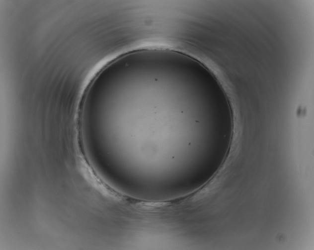 X0000113990864200910021221