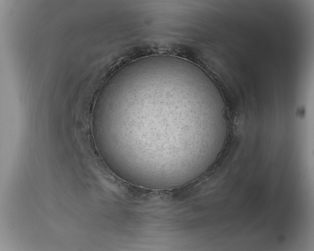 X0000113990865200910021220