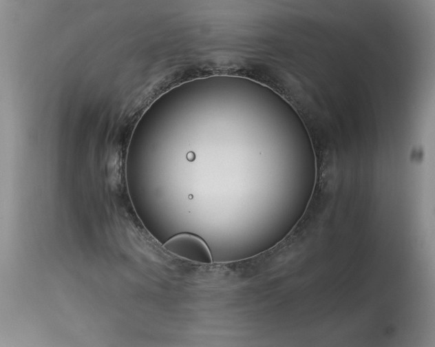 X0000113990866200910021220