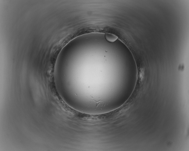 X0000113990867200910021220