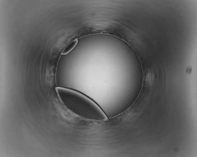 X0000113990868200910021220