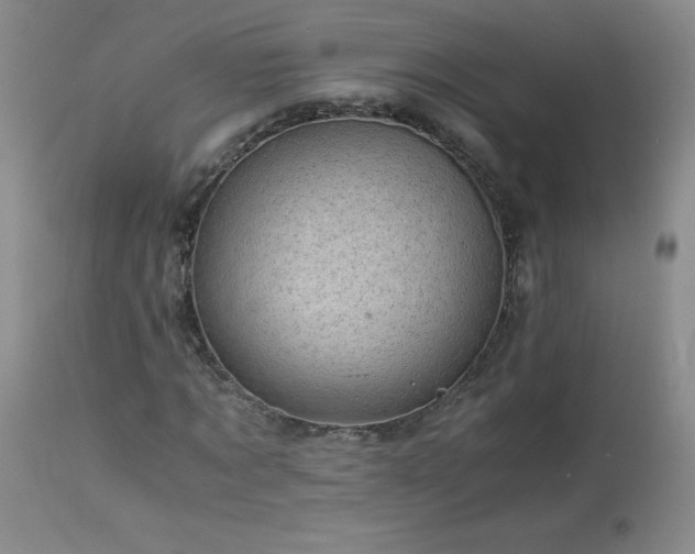 X0000113990869200910021220