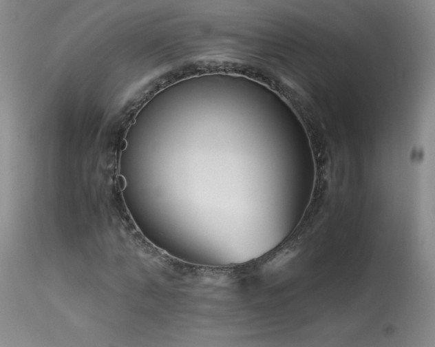 X0000113990870200910021220