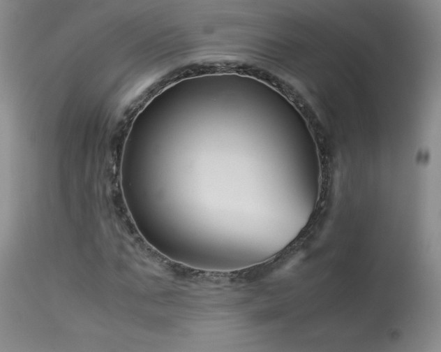 X0000113990871200910021220