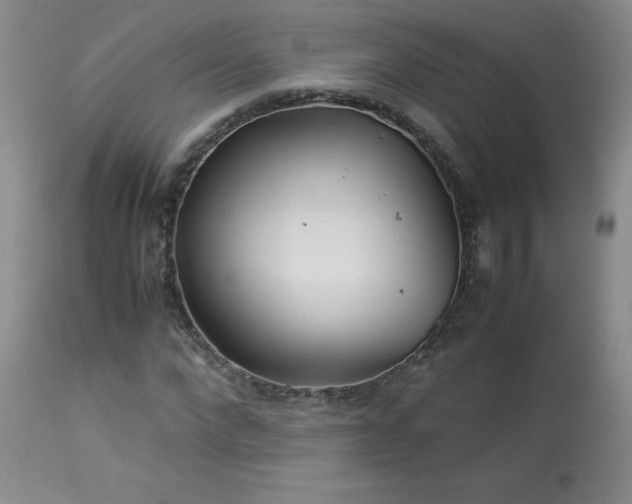 X0000113990872200910021220