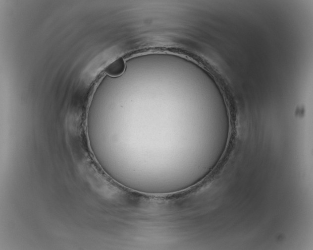 X0000113990873200910021220