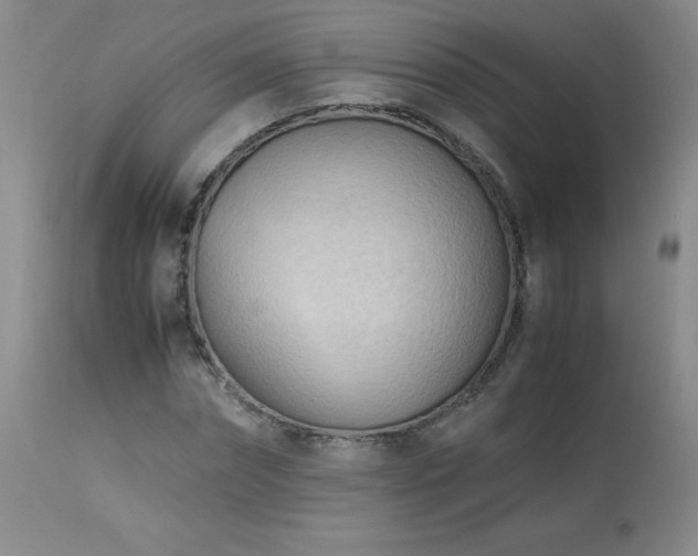 X0000113990874200910021220