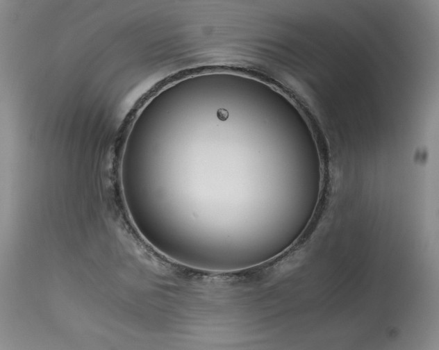 X0000113990875200910021220