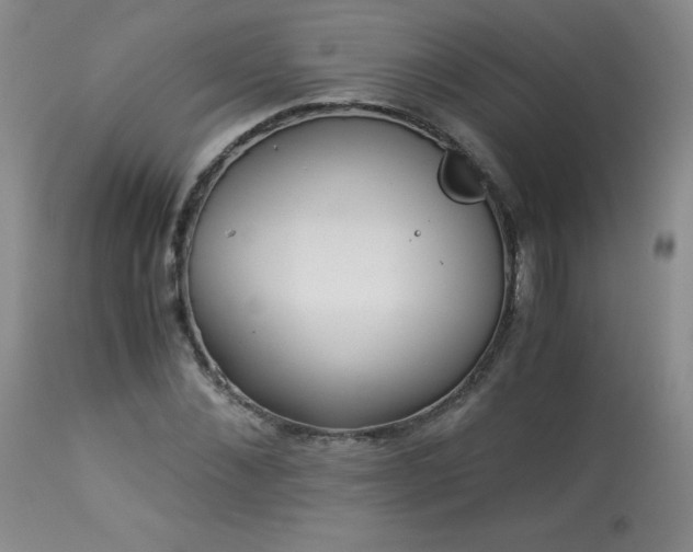 X0000113990876200910021220