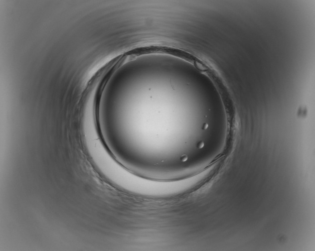 X0000113990877200910021220