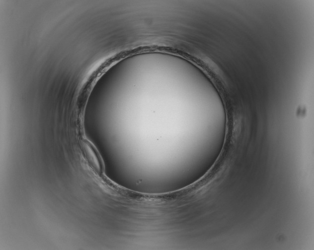 X0000113990878200910021220