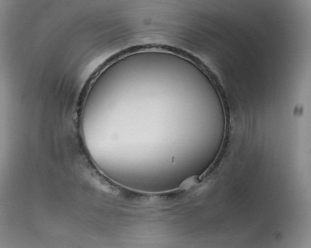 X0000113990879200910021220