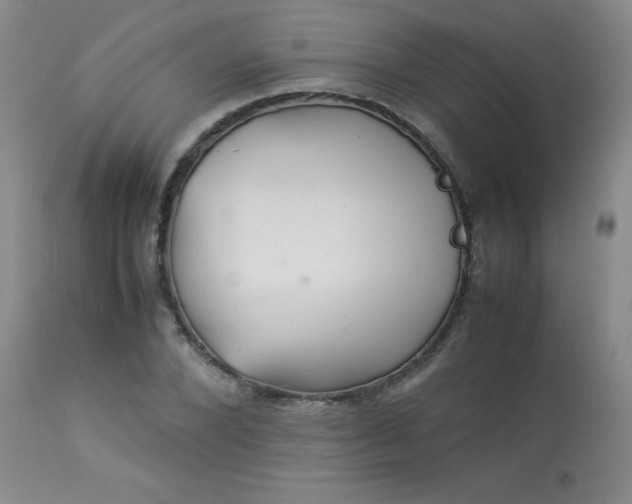 X0000113990880200910021220