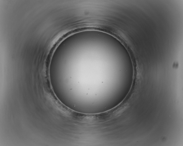 X0000113990883200910021220