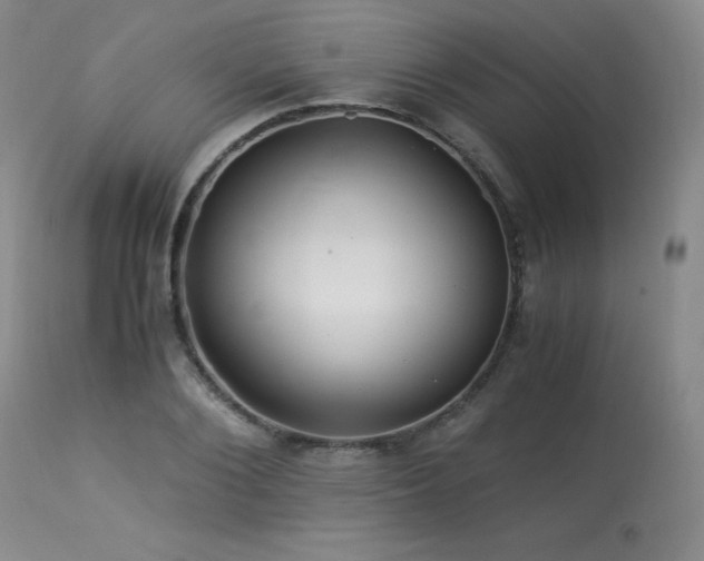 X0000113990884200910021220