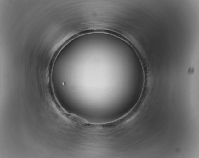 X0000113990885200910021220