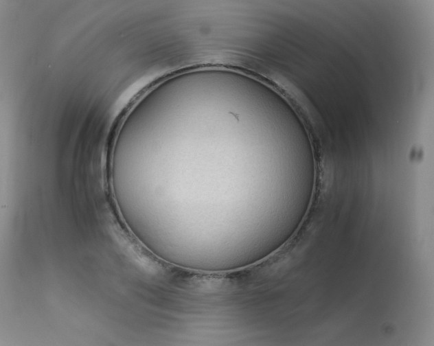 X0000113990886200910021220