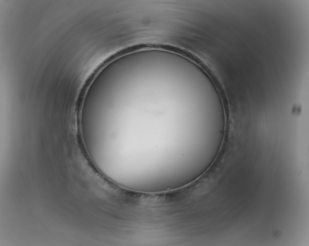 X0000113990887200910021220