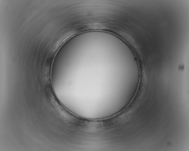 X0000113990889200910021220