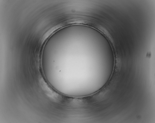 X0000113990890200910021220