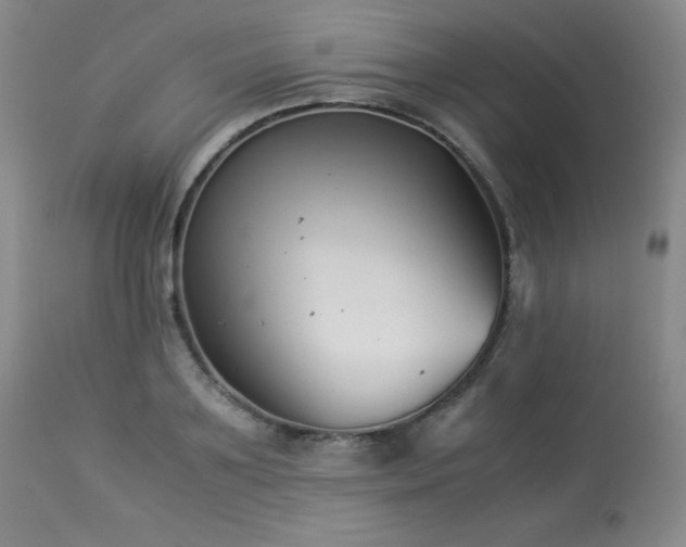 X0000113990891200910021220