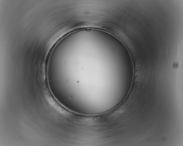 X0000113990892200910021220