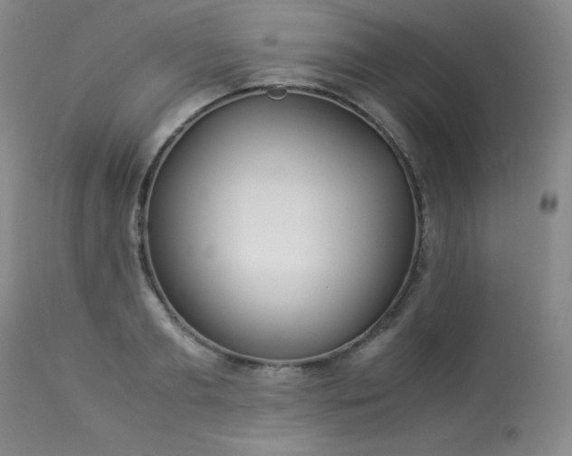 X0000113990893200910021220