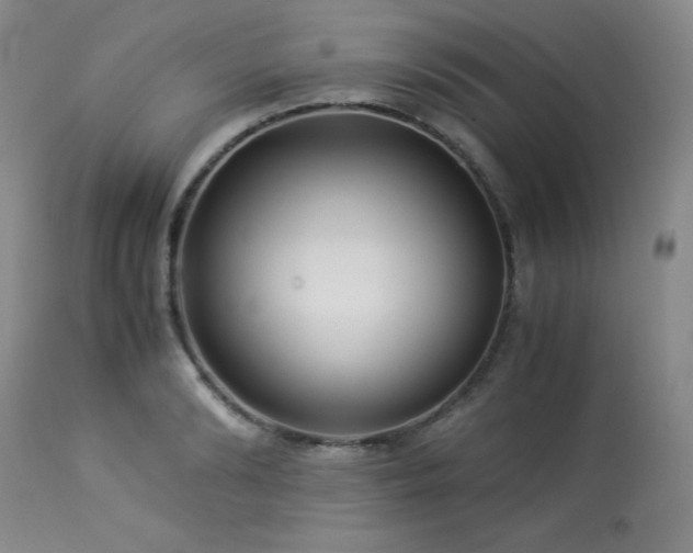 X0000113990894200910021220