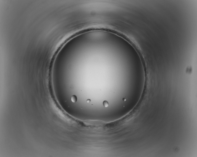 X0000113990895200910021220