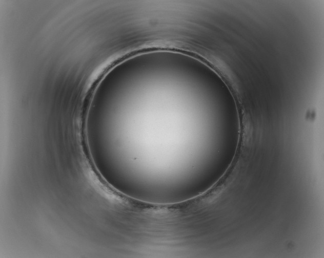 X0000113990896200910021220