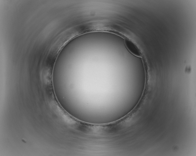 X0000113990897200910021220