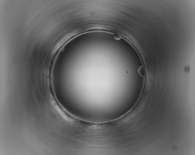 X0000113990898200910021220