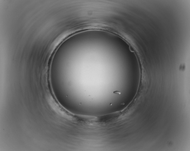 X0000113990899200910021220